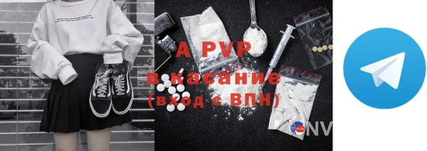 бошки Богданович