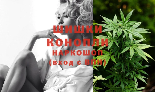 бошки Богданович