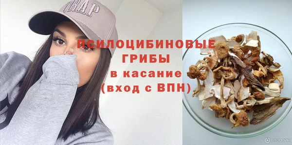 бошки Богданович